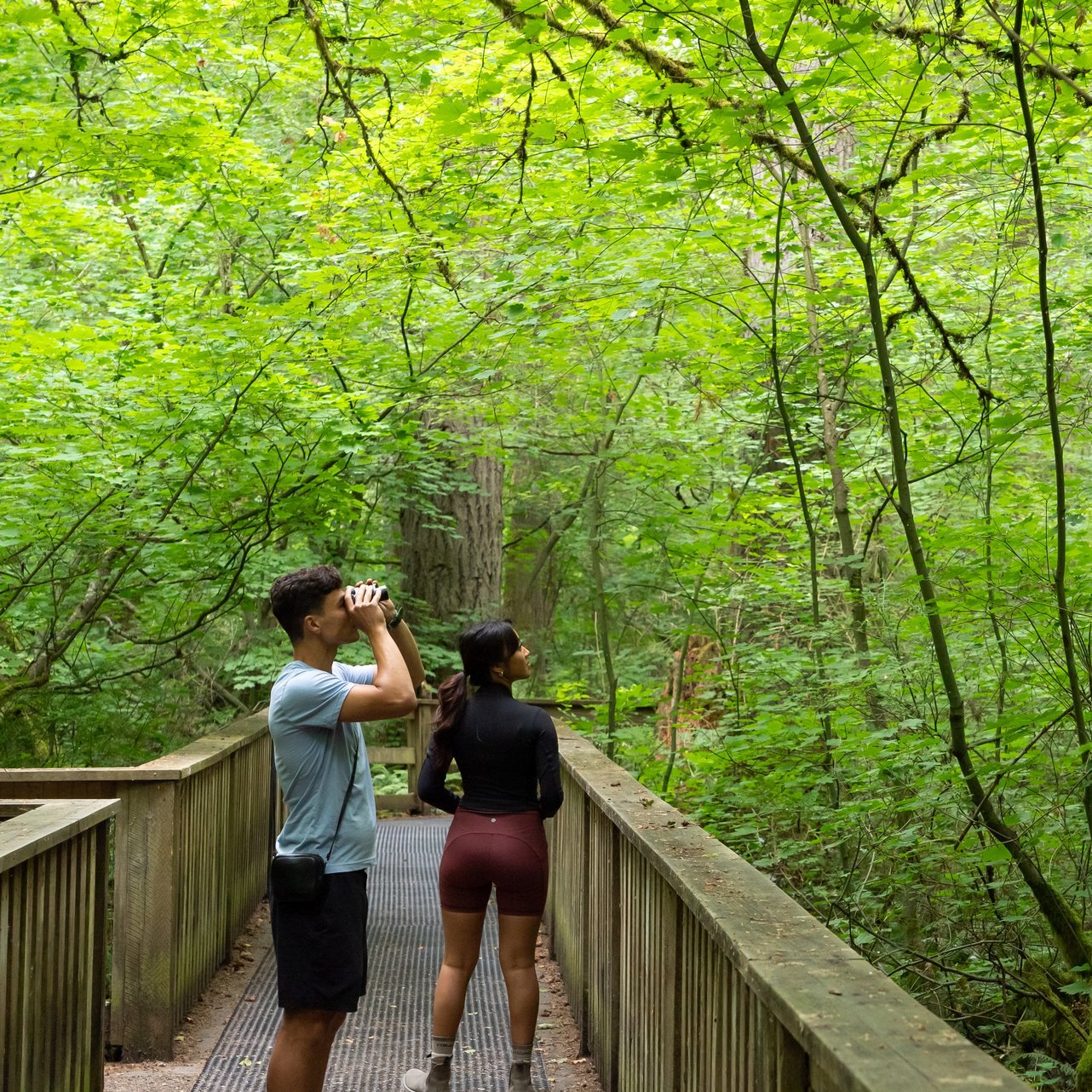 Bird watching Sunnyside Acres Urban Forest Park Surrey BC Bird Trail 2023 large